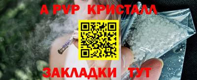 индика Будённовск