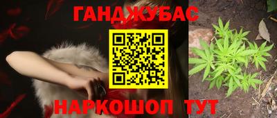 индика Будённовск