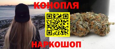 индика Будённовск