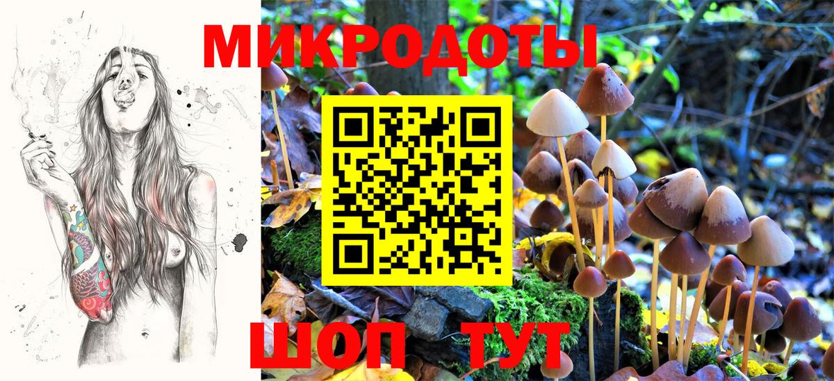 Псилоцибиновые грибы ЛСД Новотроицк