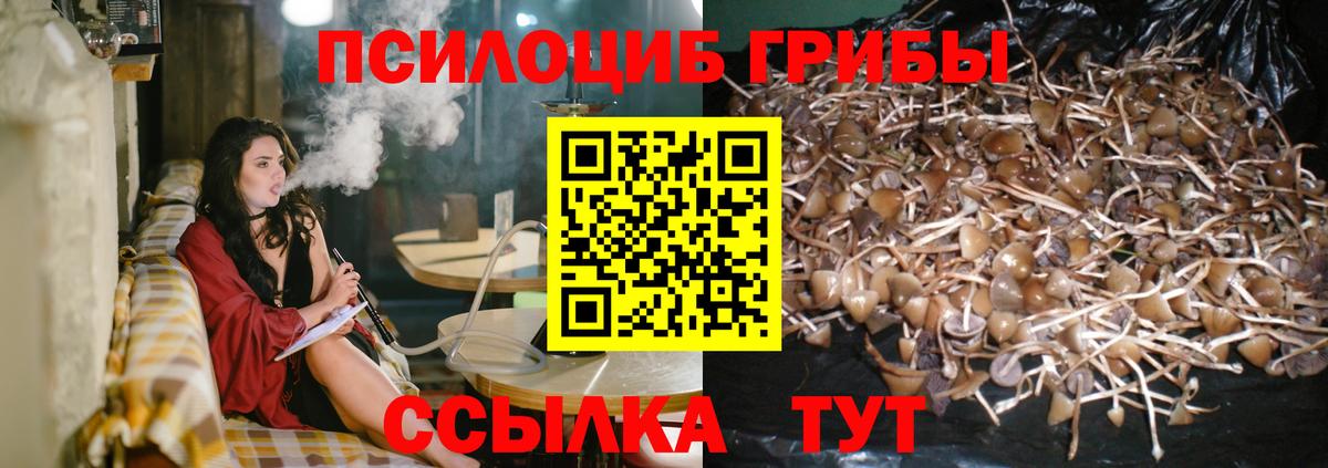 Новотроицк  Галлюциногенные грибы GOLDEN TEACHER  Псилоцибиновые грибы Psilocybe  Вход с VPN 